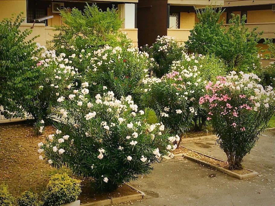 Apartment With Private Parking - Roma Est. Lunghezza ภายนอก รูปภาพ